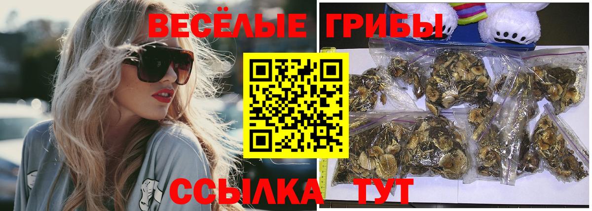 Ачинск  Псилоцибиновые грибы Cubensis  Вход с VPN  Псилоцибиновые грибы ЛСД 