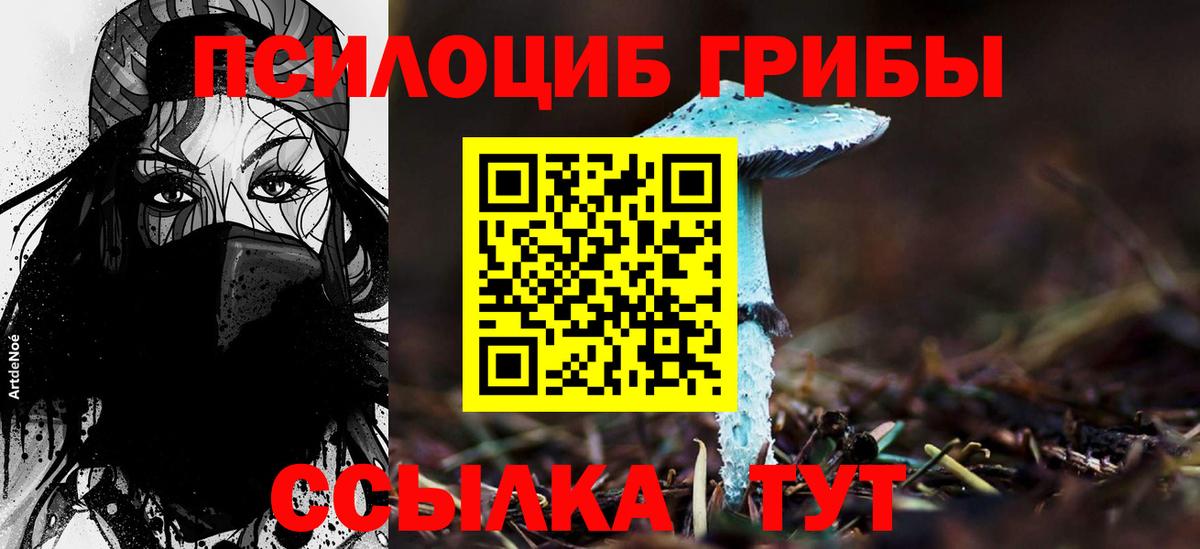 Галлюциногенные грибы MAGIC MUSHROOMS Ачинск
